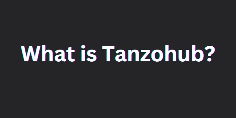 What is Tanzohub? A Step by Step Guide