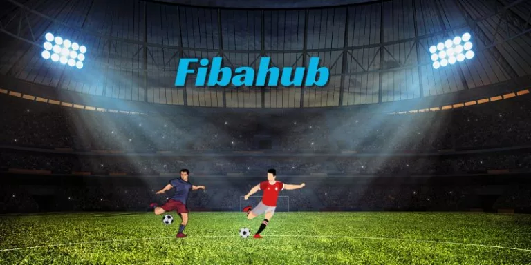 Fibahub